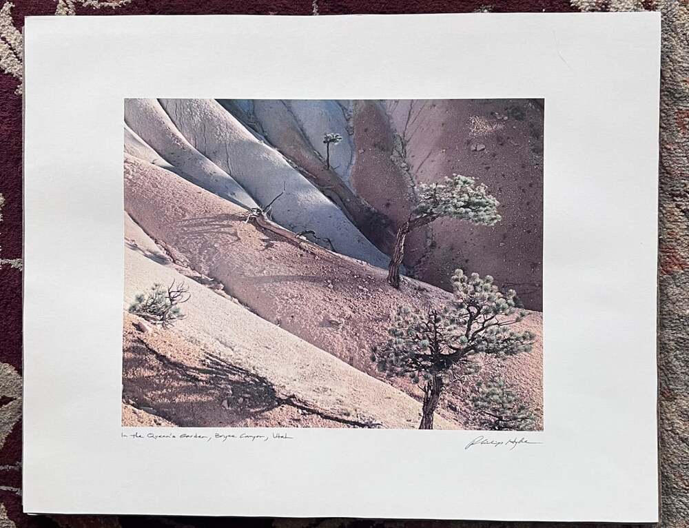 Philip Hyde Signed Landscape Print 11”x14”